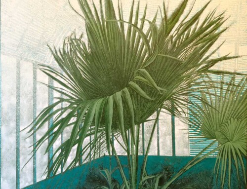 Plants