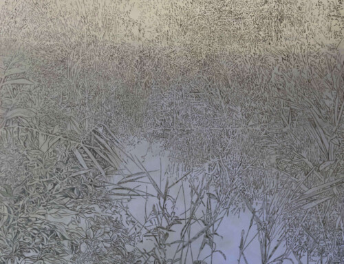 Riflesso